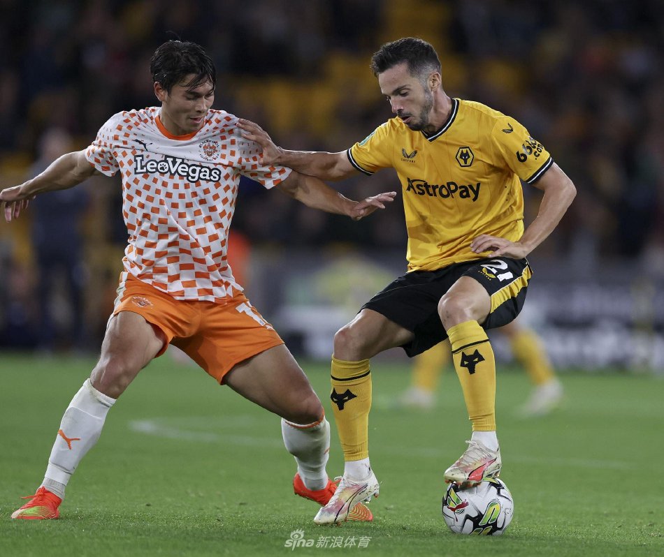 继续扩写这 继续扩写这